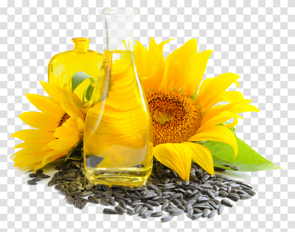 Sunflower Seed And Oil Photo Sunflower Oil Transparent Png