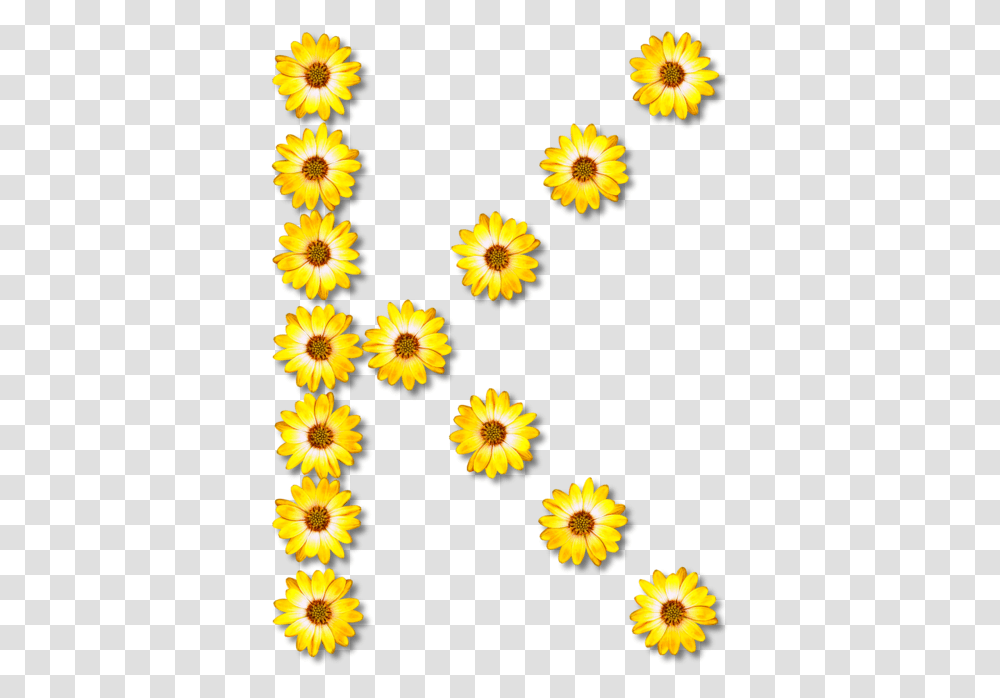 Sunflower Seed Chrysanths Plant Sunflower Letter Y, Petal, Daisy, Asteraceae, Rug Transparent Png