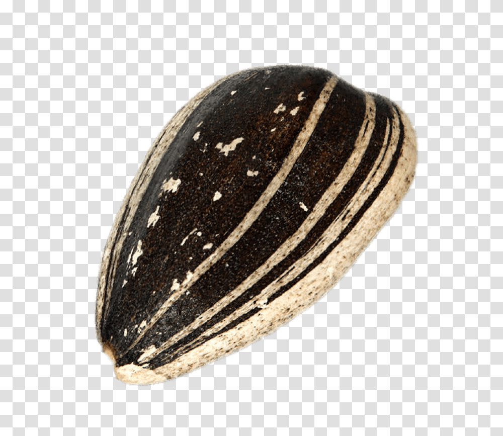 Sunflower Seed In Shell Stickpng Sunflower Seed, Plant, Grain, Produce, Vegetable Transparent Png