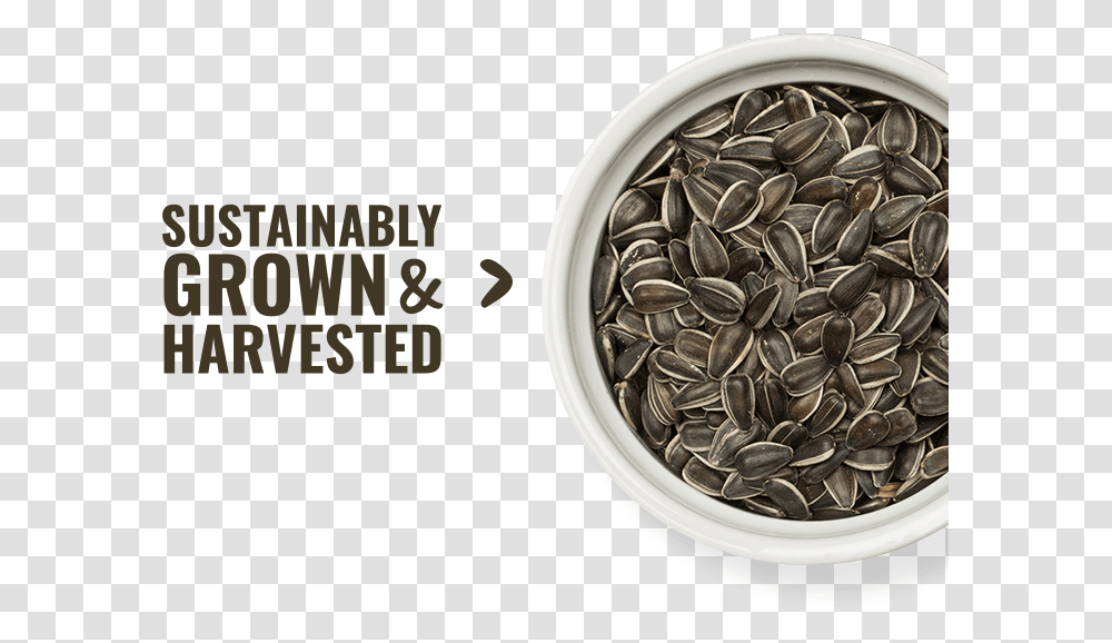 Sunflower Seed, Plant, Produce, Food, Bowl Transparent Png