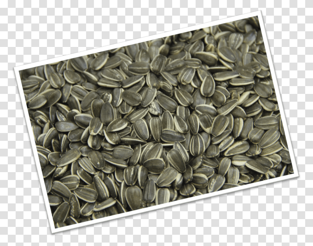 Sunflower Seed, Plant, Produce, Food, Grain Transparent Png