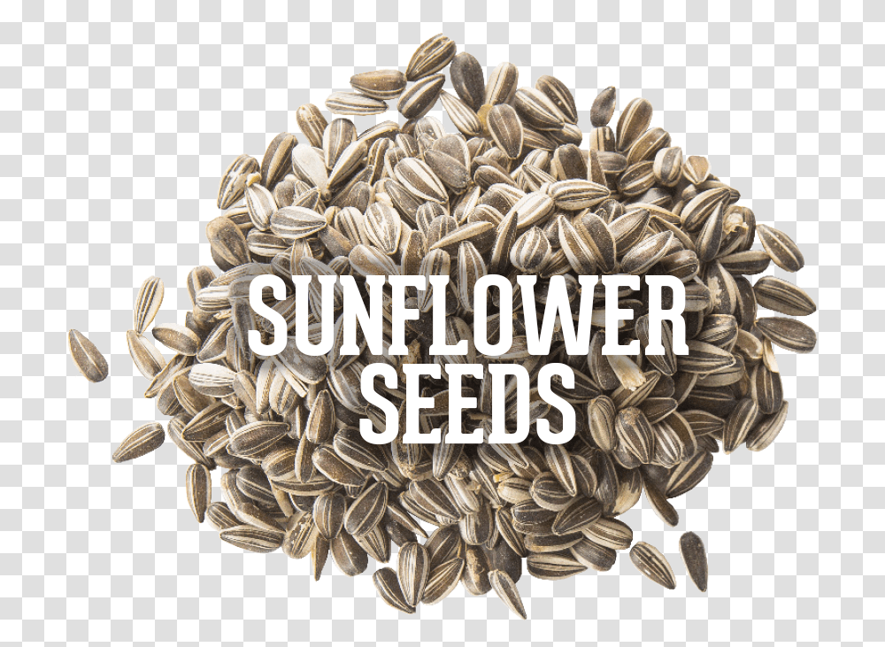 Sunflower Seed, Plant, Label, Pattern Transparent Png