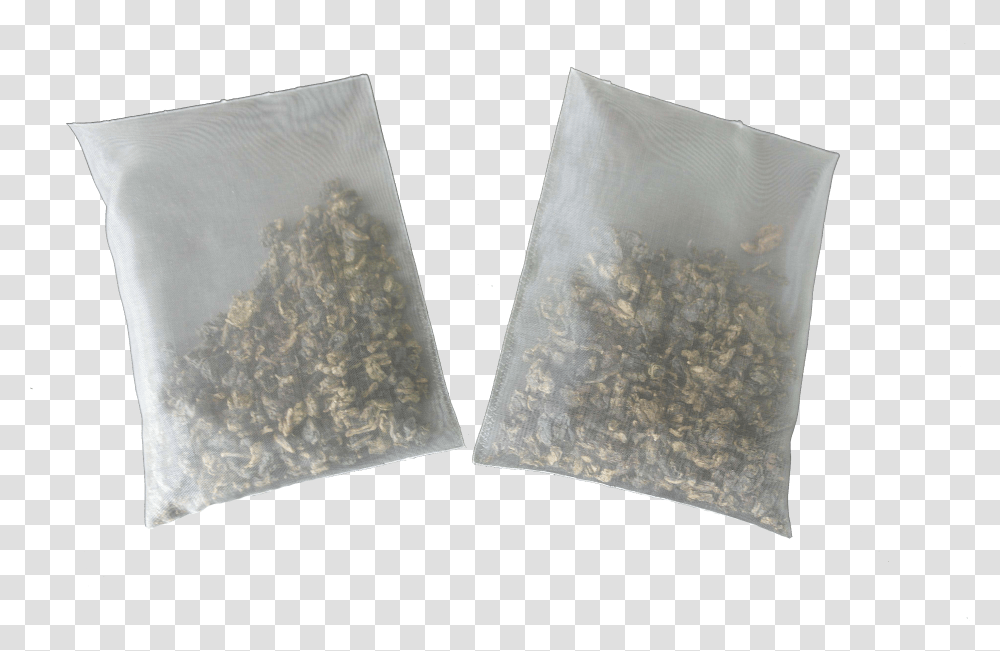 Sunflower Seed Transparent Png