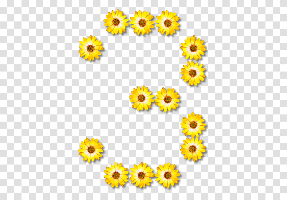 Sunflower Seedchrysanthsflower S Made Of Sunflowers, Plant, Petal, Daisy, Rug Transparent Png