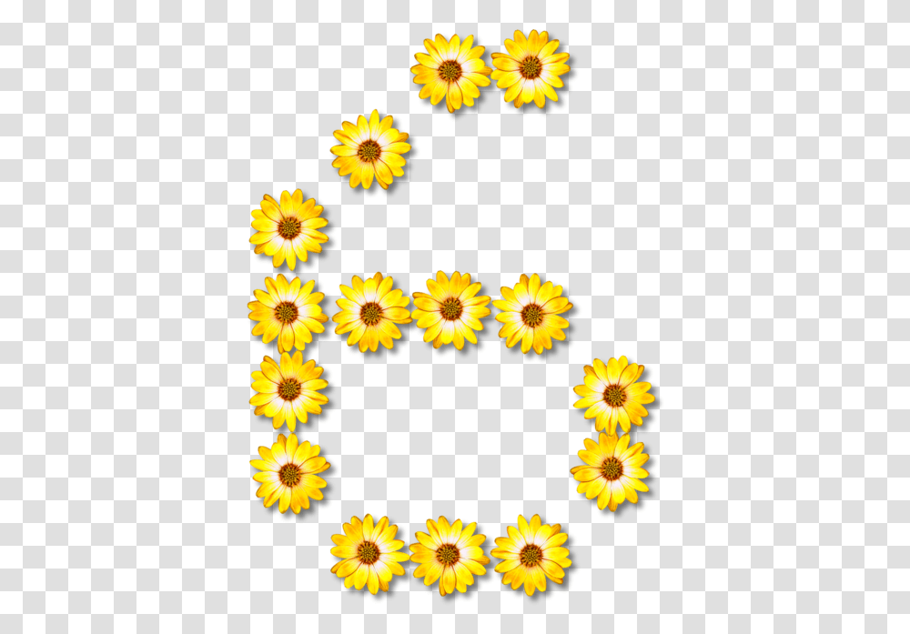 Sunflower Seedchrysanthsplant Floral G Clip Art, Floral Design, Pattern, Rug Transparent Png