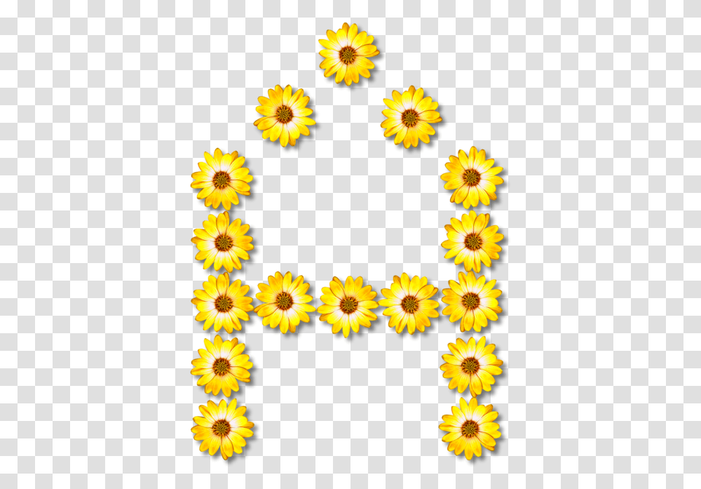 Sunflower Seedchrysanthsplant Sunflower Number, Floral Design, Pattern Transparent Png