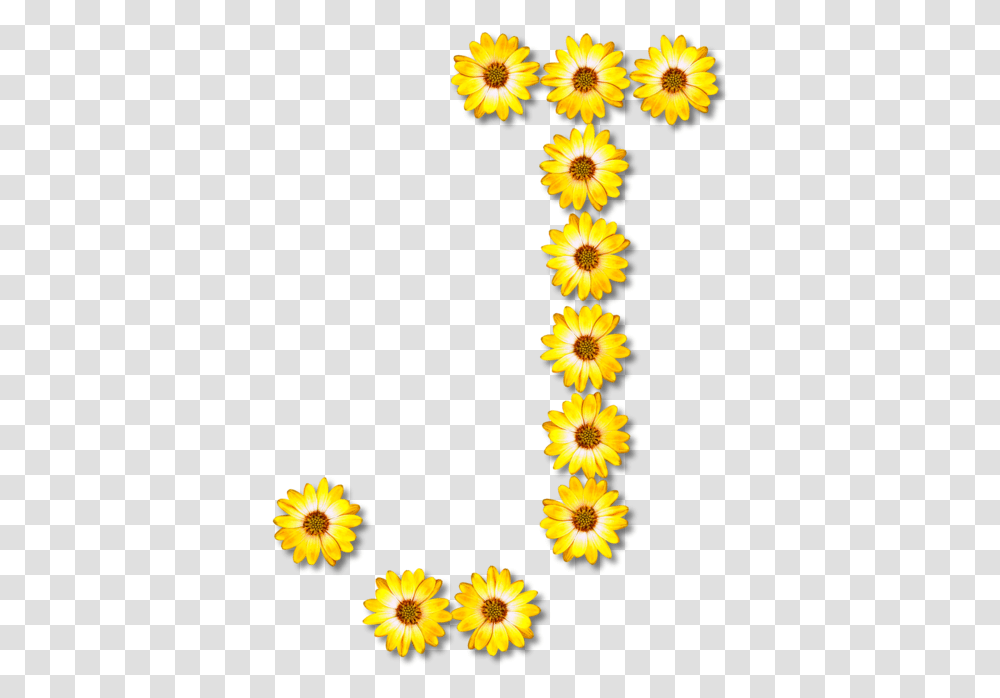 Sunflower Seedplantflower Flower Alphabet, Daisy, Petal, Rug, Aster Transparent Png