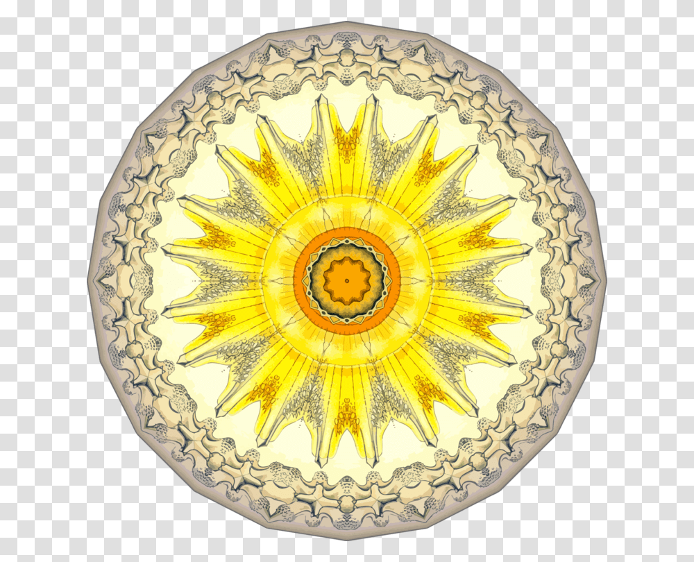 Sunflower Seedplateflower Sunflower, Ornament, Pattern, Fractal Transparent Png