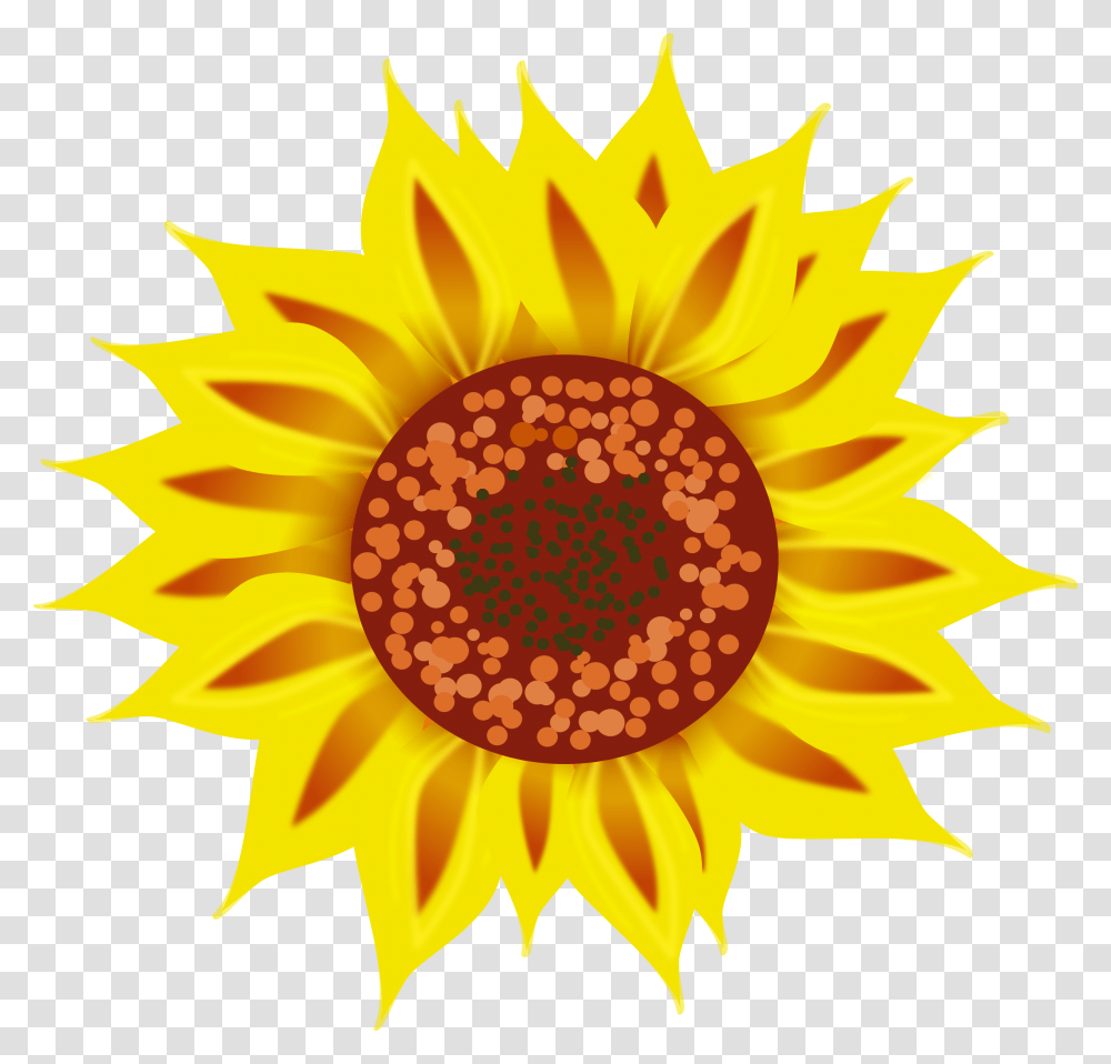 Sunflower Seedpollenplant Clipart Royalty Free Svg Portable Network Graphics, Blossom Transparent Png