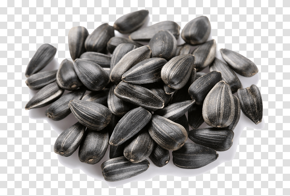 Sunflower Seeds All Sunflower Seeds, Plant, Grain, Produce, Vegetable Transparent Png