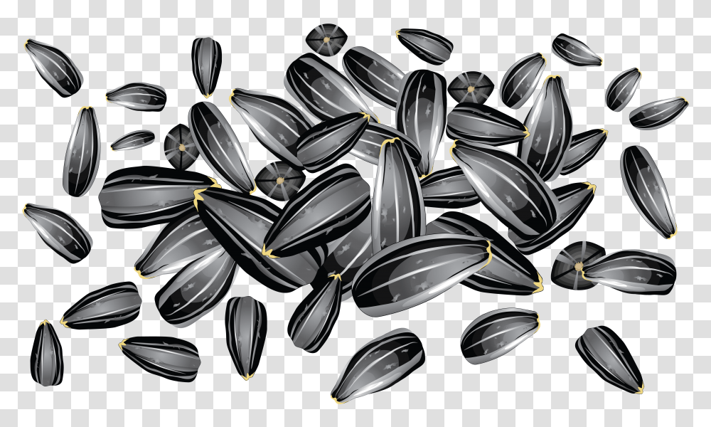 Sunflower Seeds, Collage, Poster, Advertisement, Plant Transparent Png
