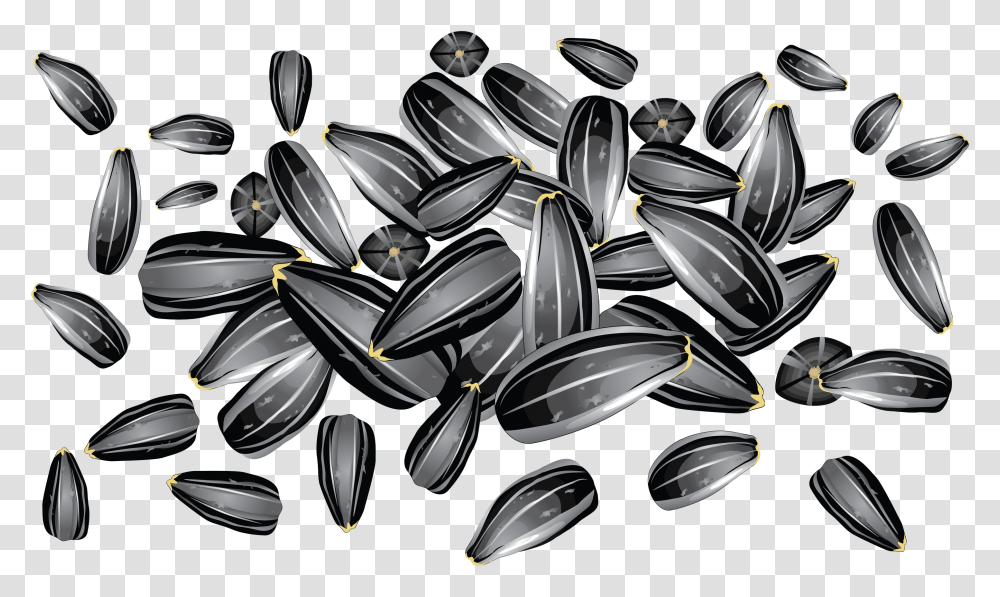 Sunflower Seeds Image Sunflower Seed Vector Free, Plant, Wristwatch Transparent Png