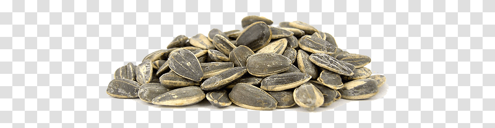 Sunflower Seeds Images All Sunflower Seed, Grain, Produce, Vegetable, Food Transparent Png