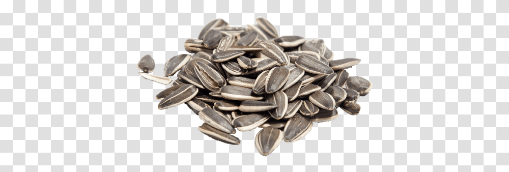 Sunflower Seeds Images Background Play Sunflower Seed, Plant, Grain, Produce, Vegetable Transparent Png