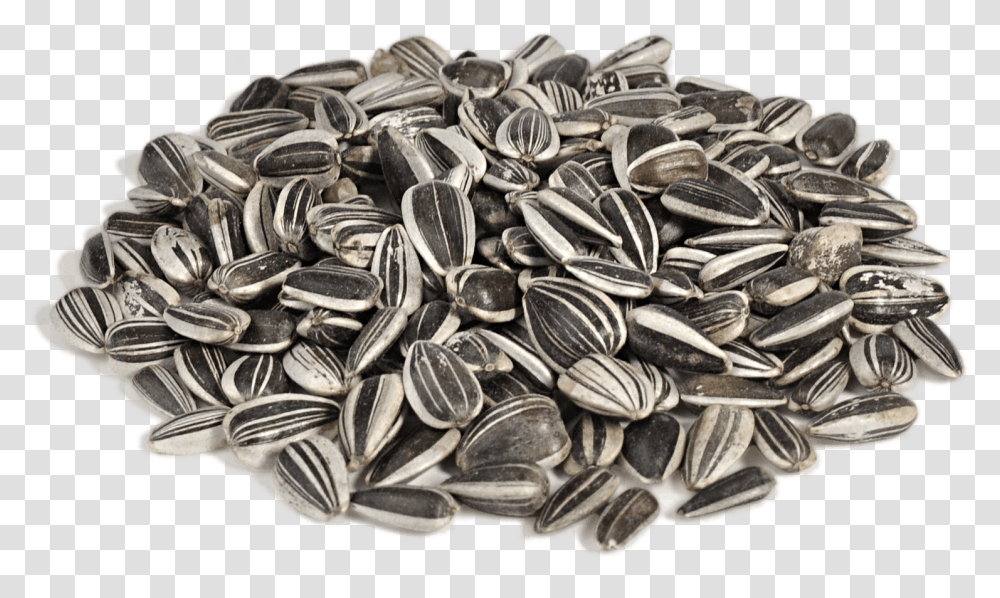 Sunflower Seeds, Plant, Grain, Produce, Vegetable Transparent Png