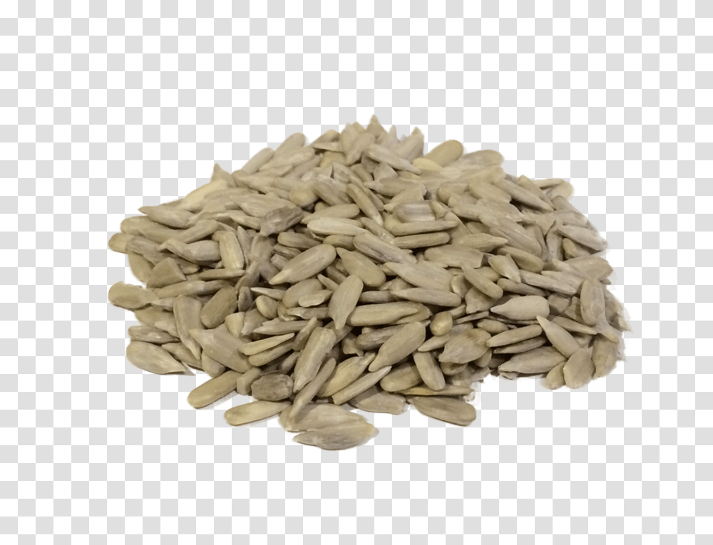 Sunflower Seeds, Plant, Wood, Rose, Blossom Transparent Png