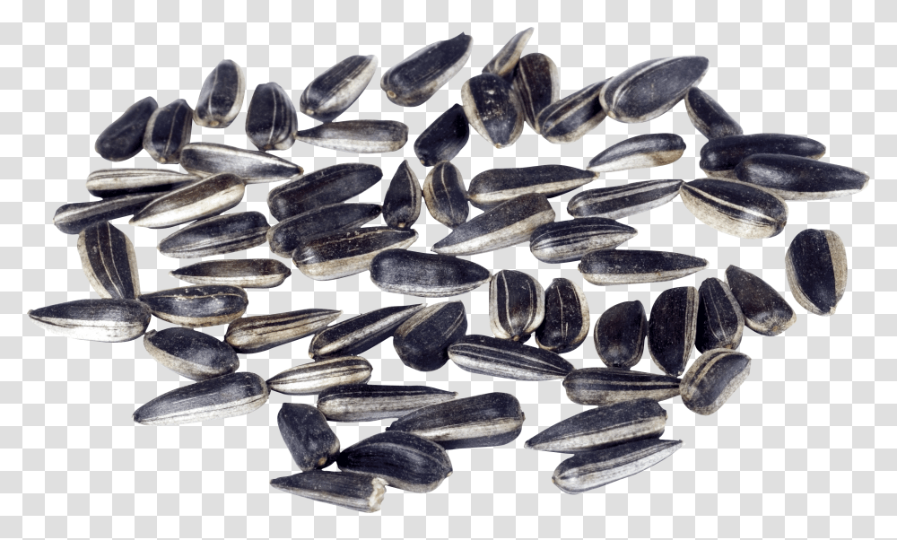 Sunflower Seeds Transparent Png