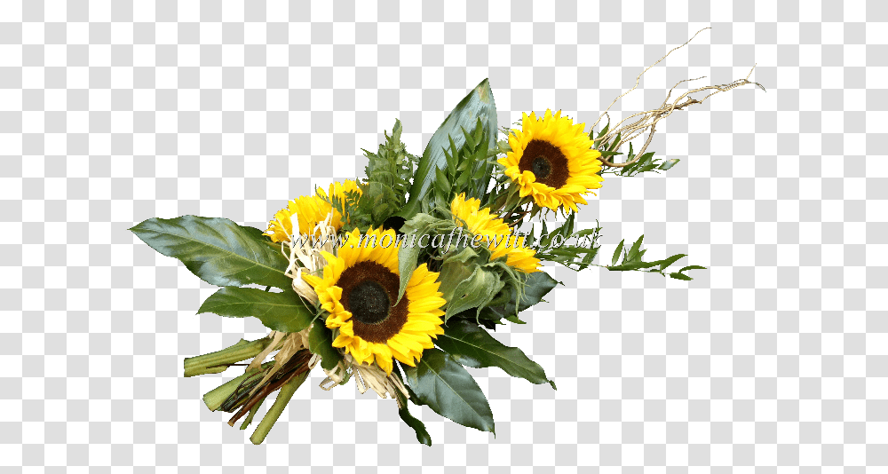 Sunflower Sheaf Monica F Hewitt Bouquet, Plant, Blossom, Flower Arrangement, Flower Bouquet Transparent Png