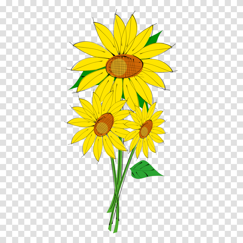 Sunflower Single & Clipart Free Download Ywd Sunflower Clip Art, Plant, Blossom, Daisy, Daisies Transparent Png