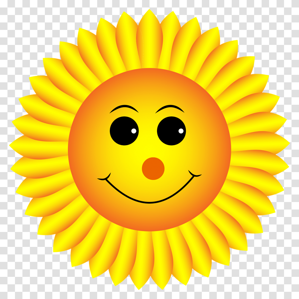 Sunflower Smiley Face Smile Sunflower, Nature, Outdoors, Sky, Banana Transparent Png