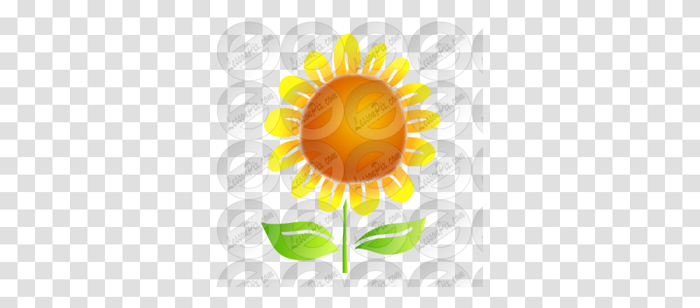 Sunflower Stencil For Classroom Therapy Use Great For Cricket, Plant, Text, Photography, Gold Transparent Png