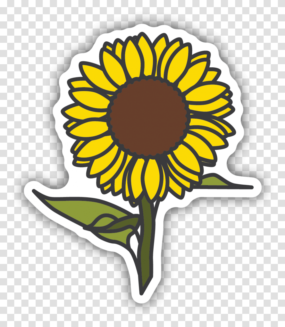 Sunflower Sticker Sunflower Sticker, Plant, Blossom, Daisy, Daisies Transparent Png