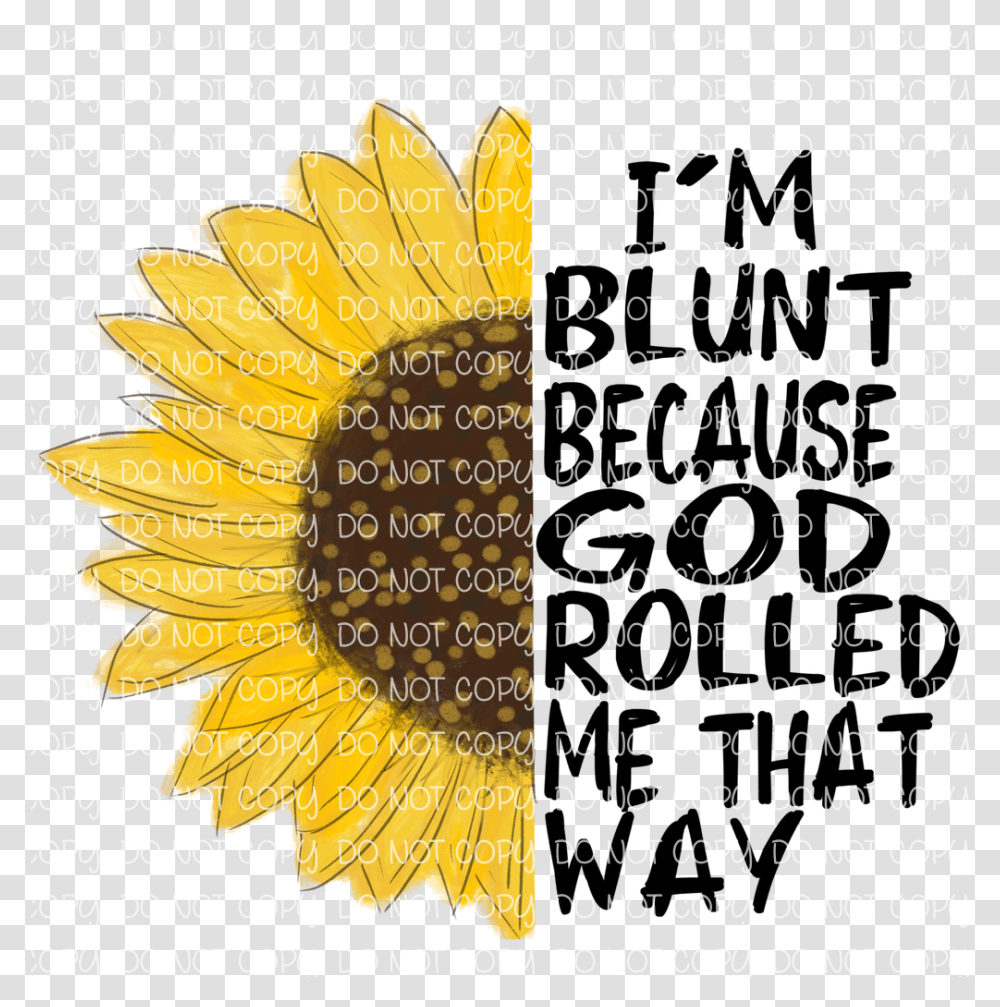 Sunflower, Plant, Number, Word Transparent Png