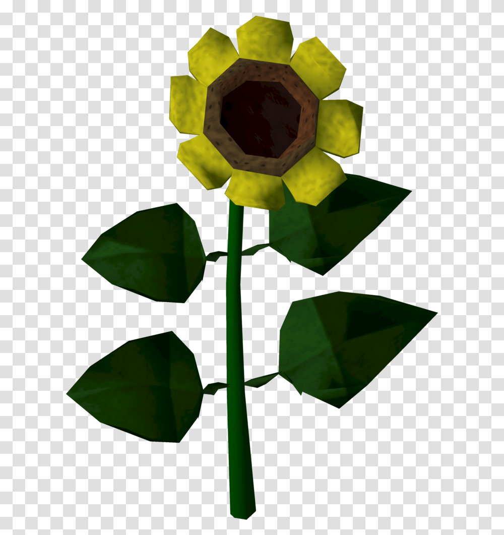 Sunflower The Runescape Wiki Runescape Flower, Plant, Petal, Daffodil, Wasp Transparent Png
