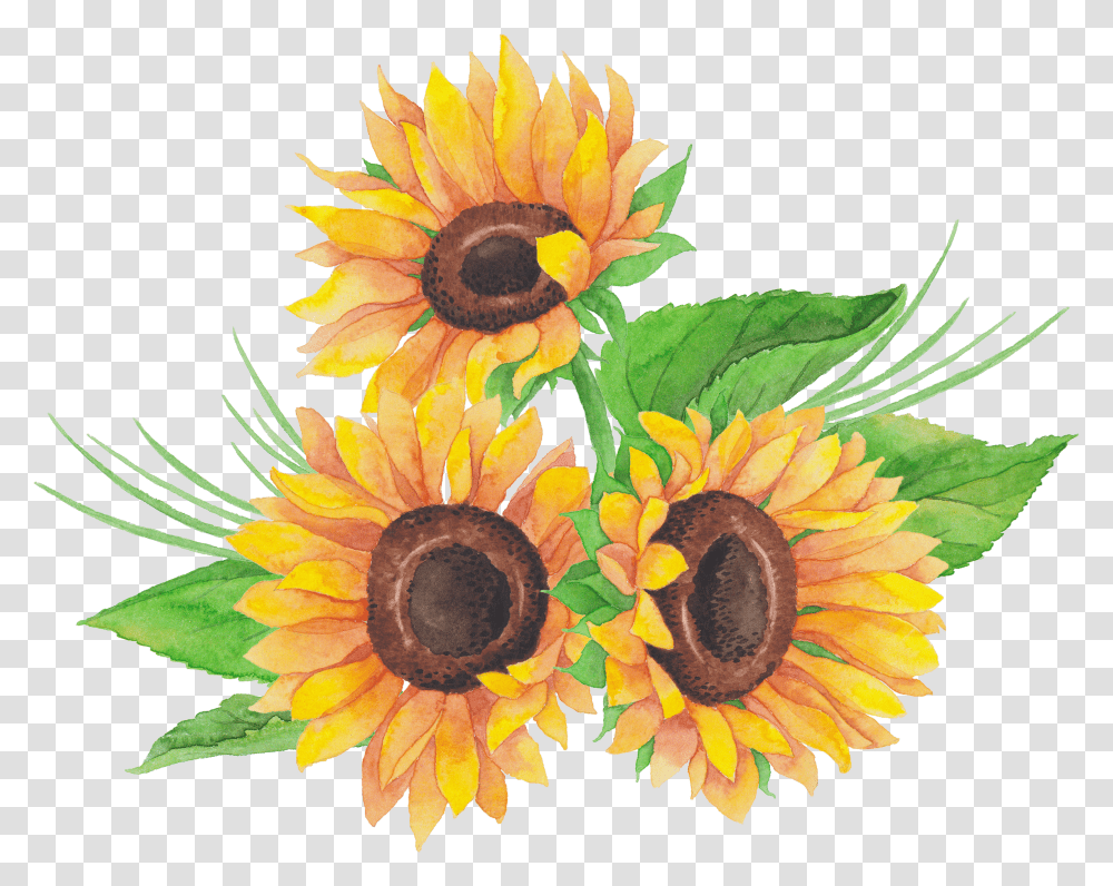 Sunflower Transparent Png