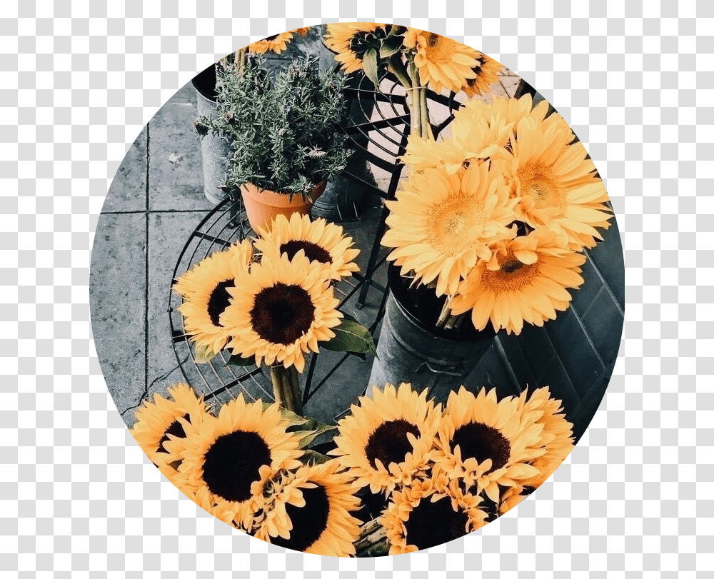 Sunflower Tumblr Yellow Sticker By Joslin Niche Icon, Plant, Blossom, Interior Design, Indoors Transparent Png