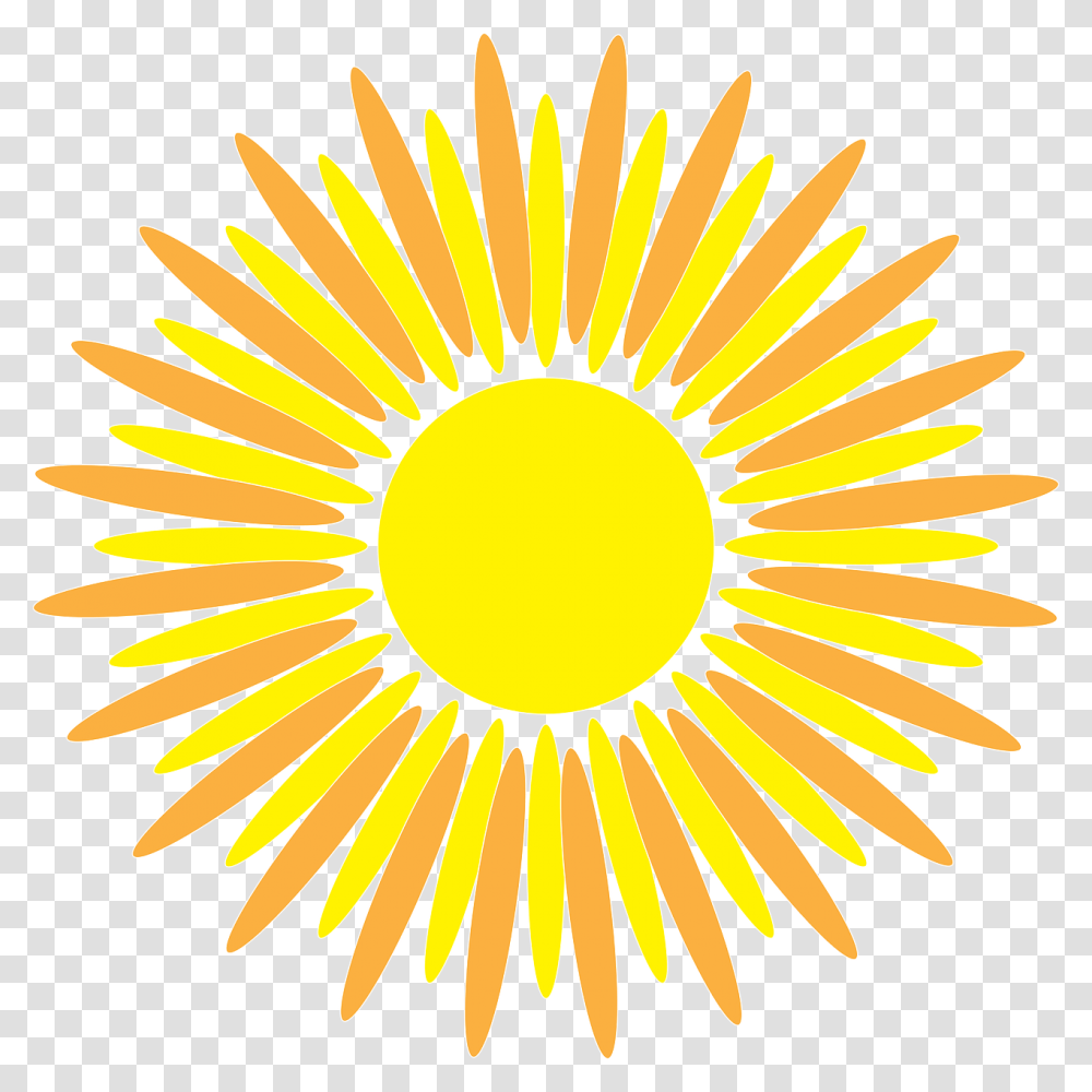 Sunflower Vector Graphic Switch Words For Good Health, Plant, Blossom, Dandelion Transparent Png