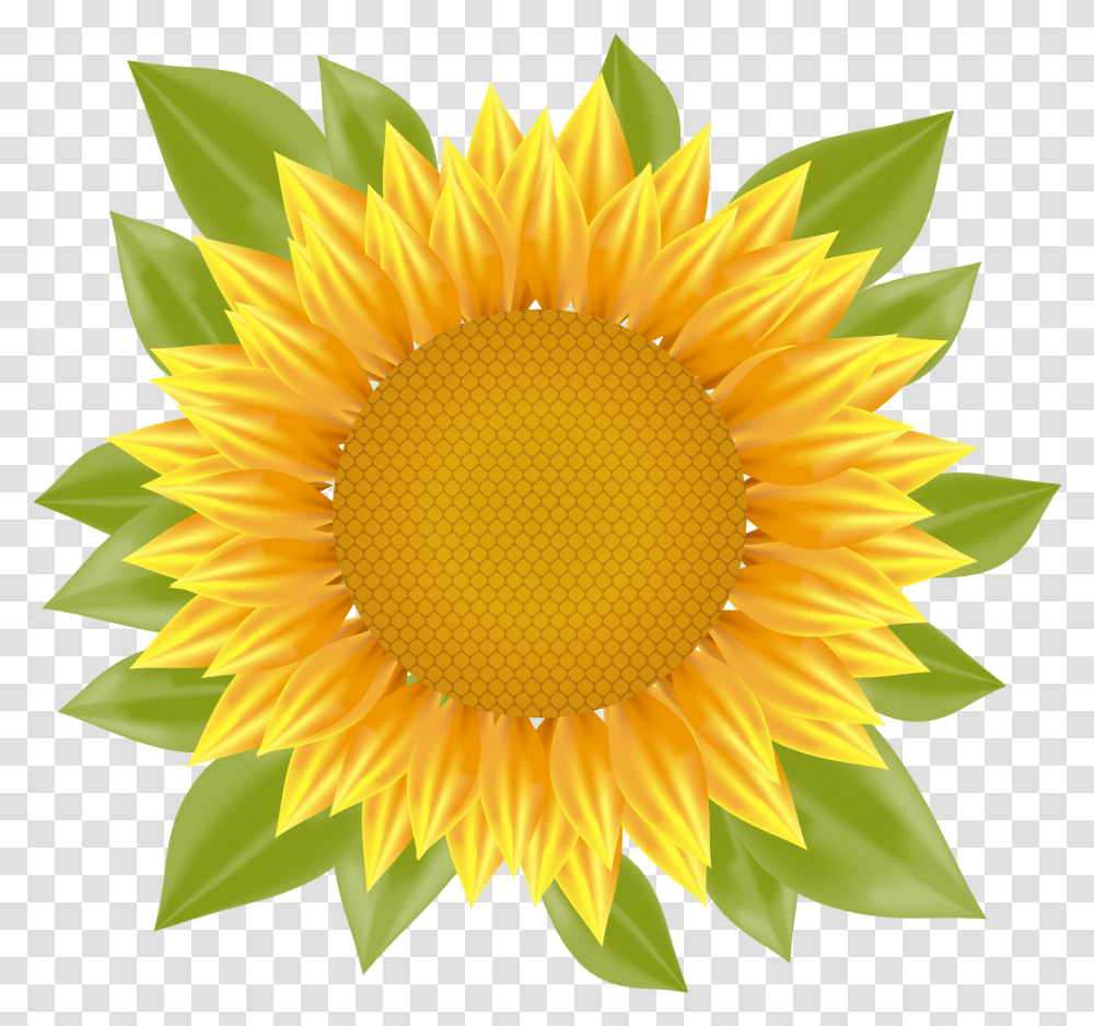 Sunflower Vector Vector Sunflower, Plant, Blossom, Photography Transparent Png