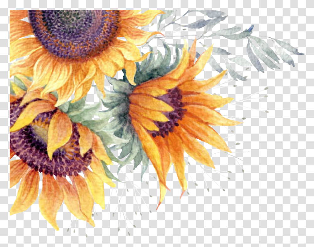 Sunflower Watercolor Clipart Background Sunflower, Plant, Blossom, Bird, Animal Transparent Png