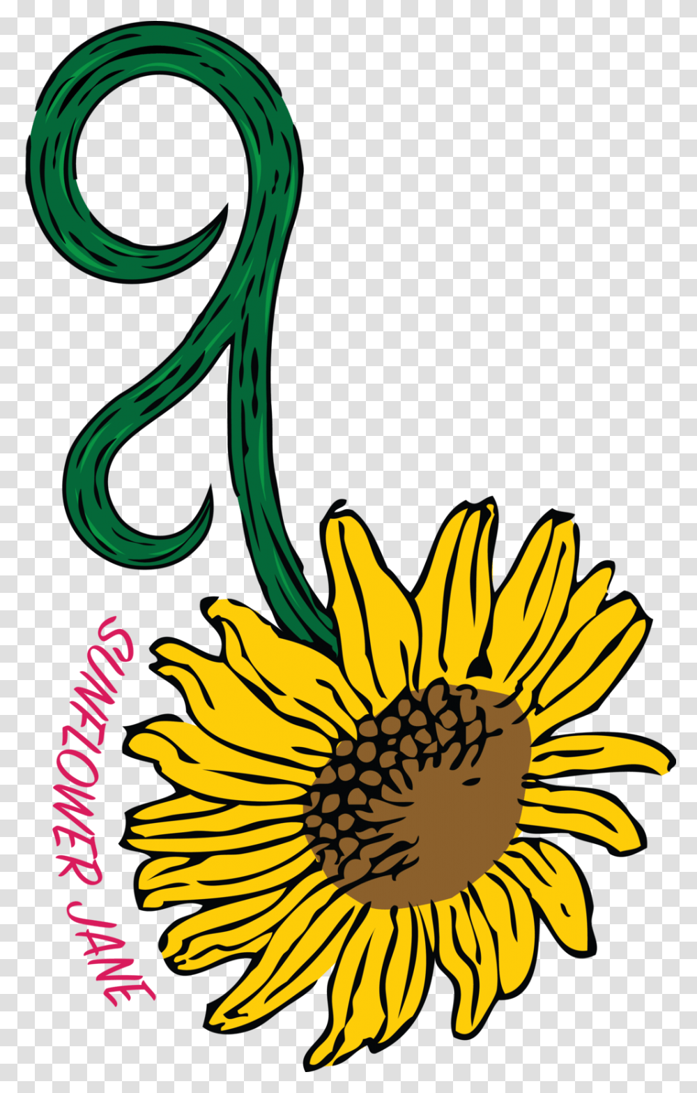 Sunflowerjane Sunflower, Plant, Blossom, Petal Transparent Png