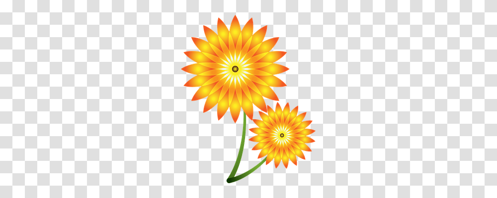 Sunflowers Nature, Pattern, Ornament Transparent Png