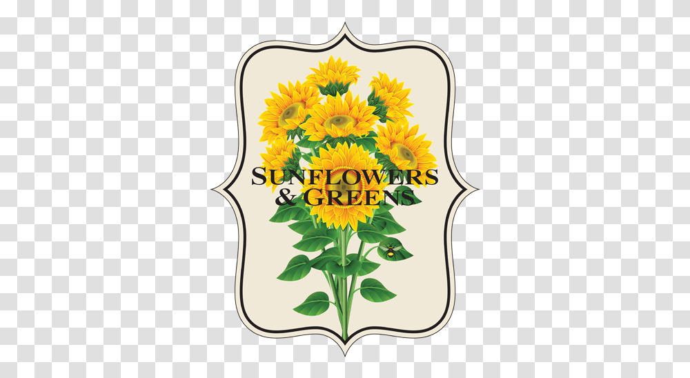 Sunflowers And Greens Sunflower, Plant, Symbol, Graphics, Art Transparent Png