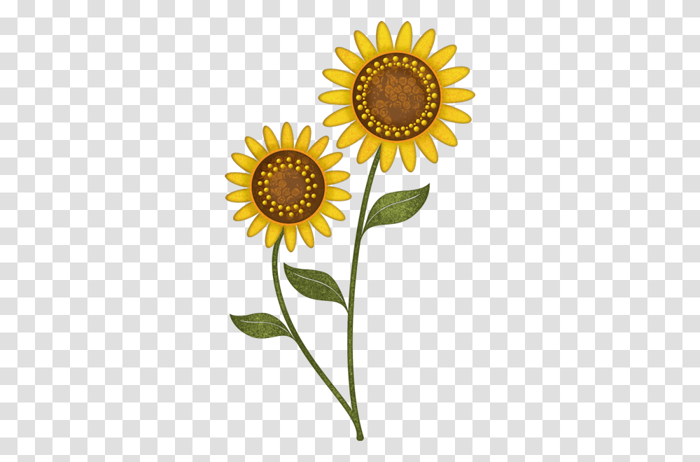 Sunflowers Clip Art, Plant, Blossom, Daisy, Daisies Transparent Png