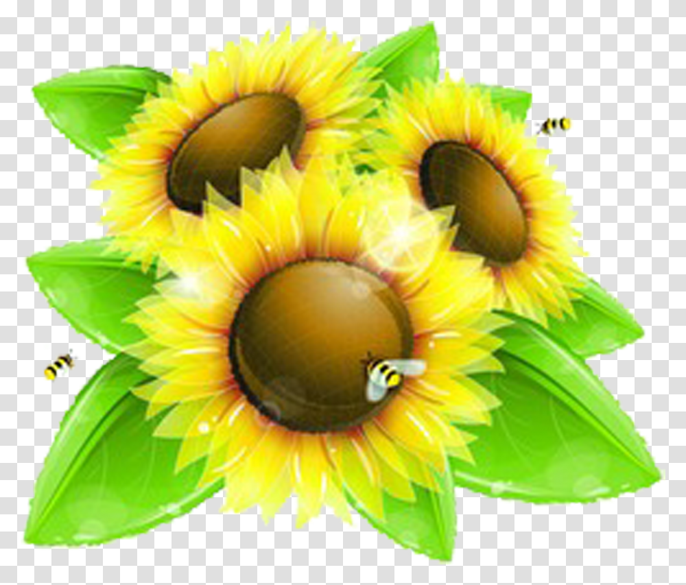 Sunflowers Clipart Bee Honey Bees And Sunflower Background Transparent Png