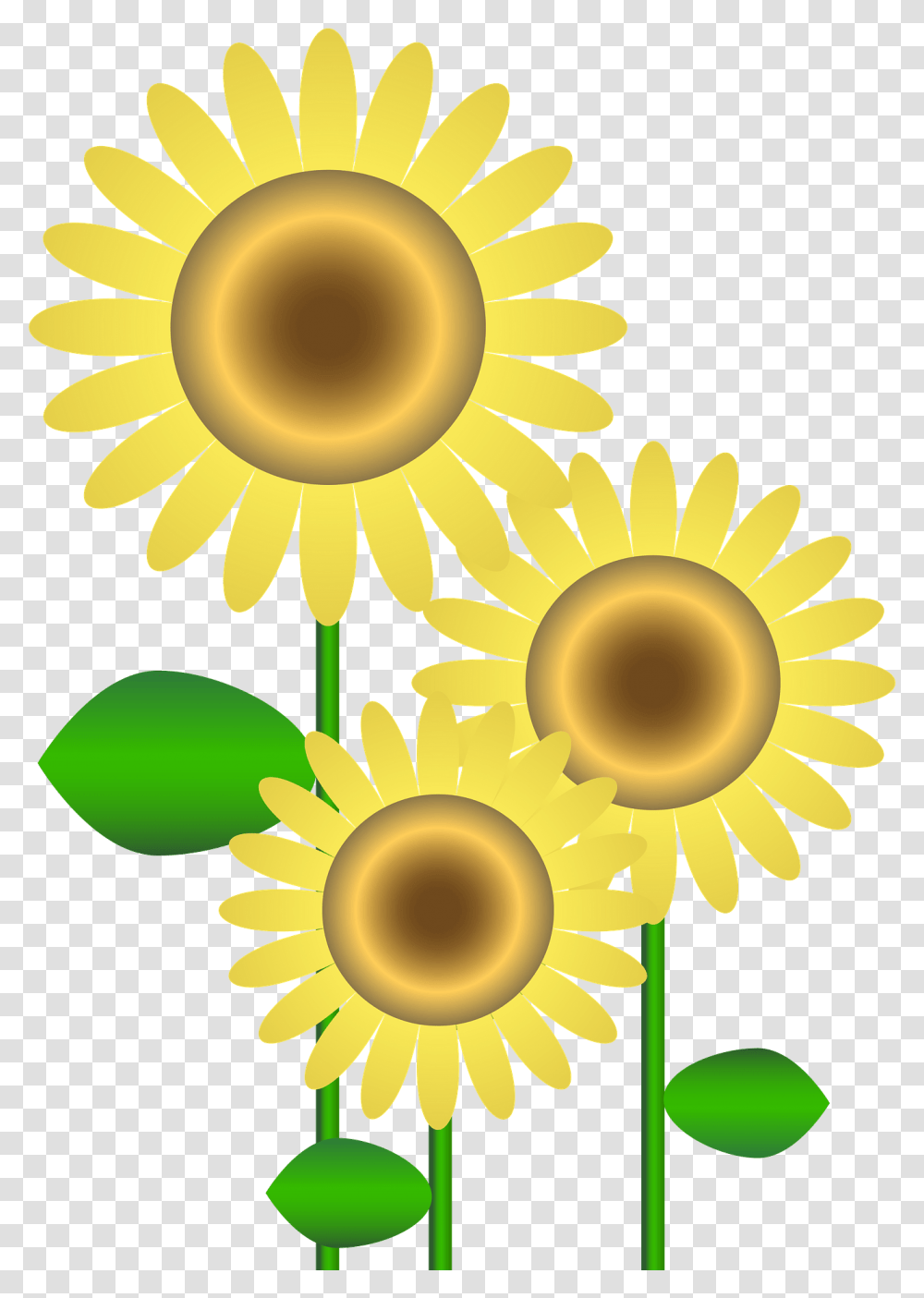 Sunflowers Clipart Registratore Di Cassa System, Plant, Blossom, Daisy, Daisies Transparent Png