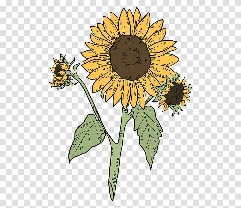 Sunflowers Clipart Sunflower, Plant, Blossom, Clock Tower, Architecture Transparent Png