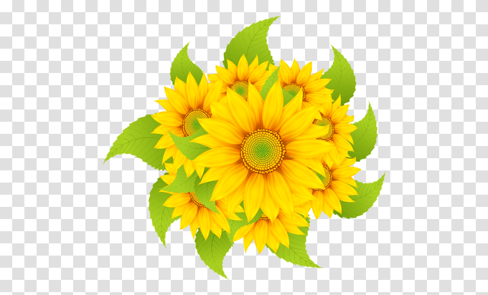 Sunflowers Decoration Clipart Image Bordado De Coruja Clip Art, Plant, Blossom, Treasure Flower, Pattern Transparent Png