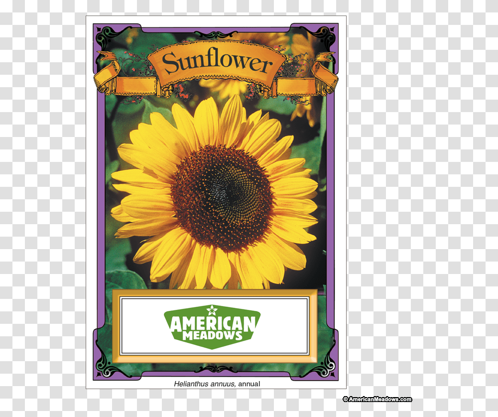 Sunflowers High Re Packet Of Seeds, Plant, Blossom, Liquor, Alcohol Transparent Png