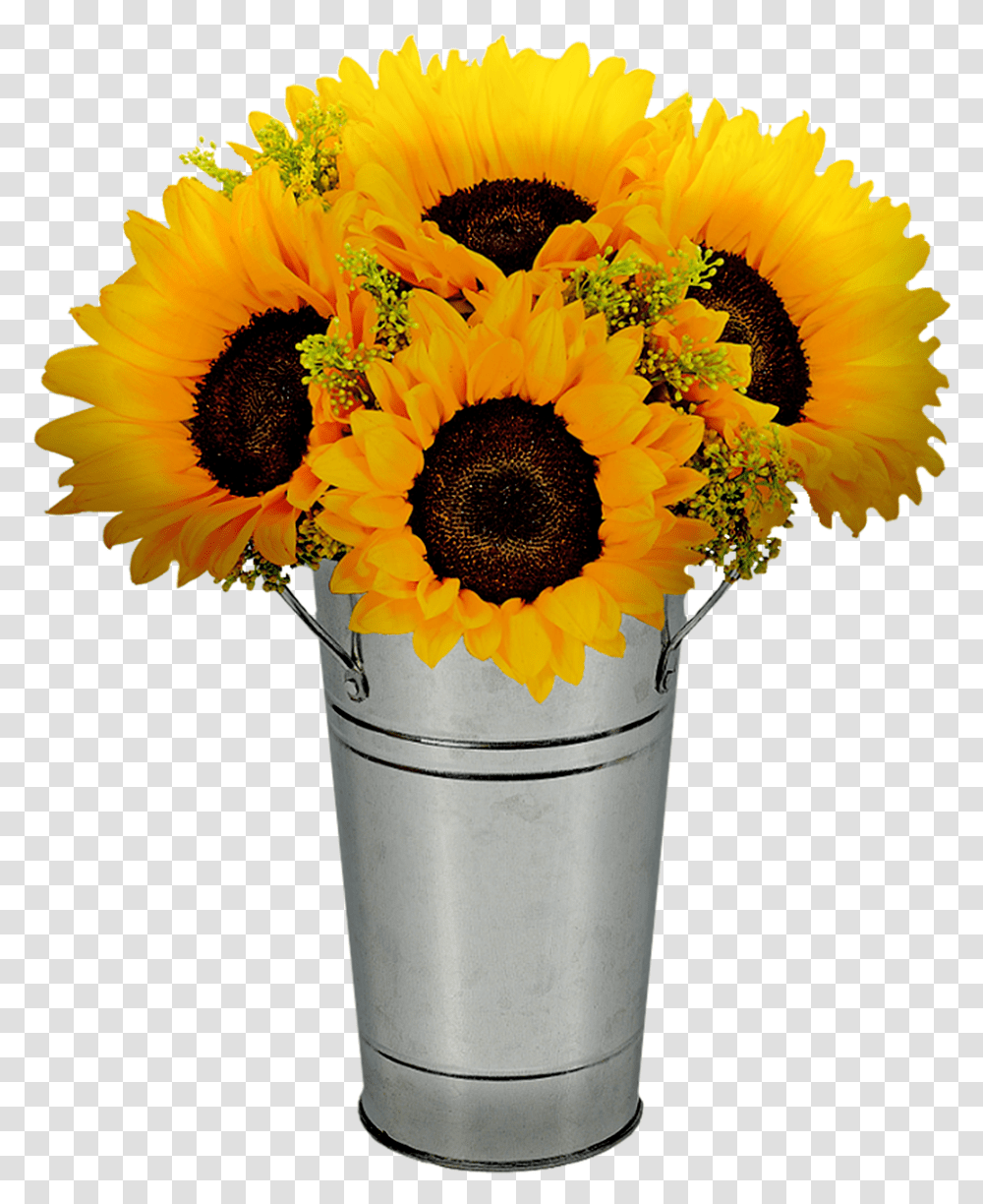 Sunflowers In Pot Flower Free Image On Pixabay, Plant, Blossom, Flower Arrangement, Jar Transparent Png