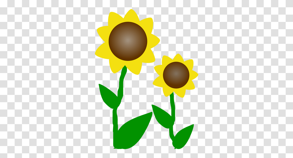 Sunflowers Sun Flowers Plant Images - Free Clip Art Flowers, Blossom, Daffodil, Gold, Daisy Transparent Png