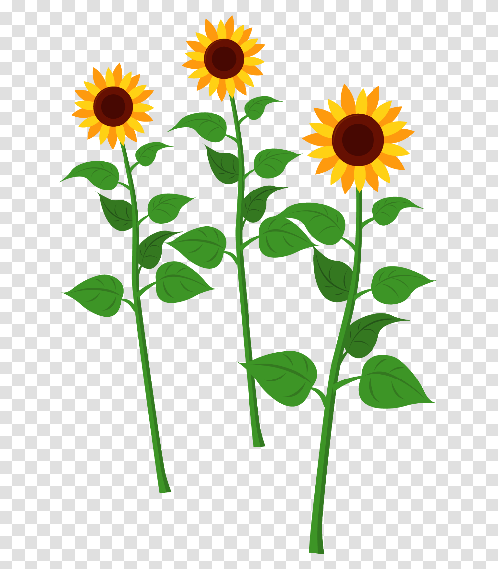 Sunflowers Sunflower Cartoon, Plant, Blossom Transparent Png