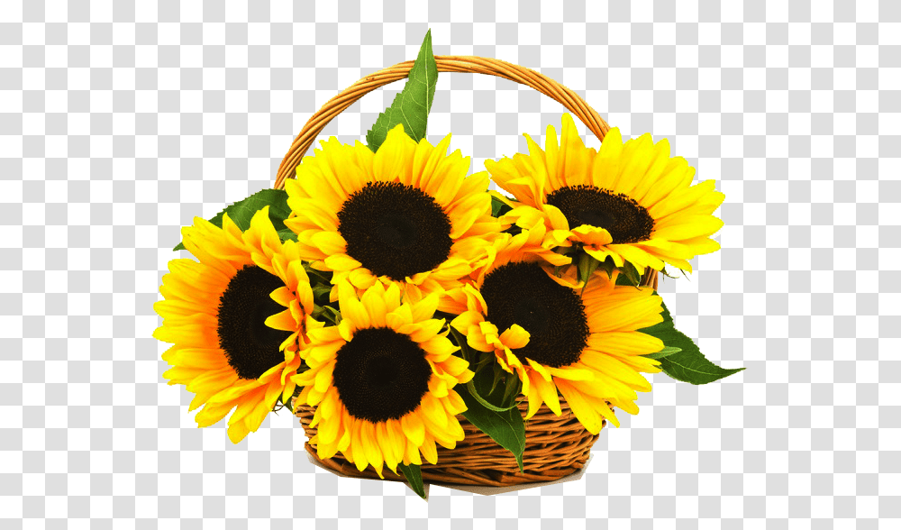 Sunflowers Sunflowers One Sunflowers In A Basket Sunflower Basket, Plant, Blossom, Petal, Flower Arrangement Transparent Png