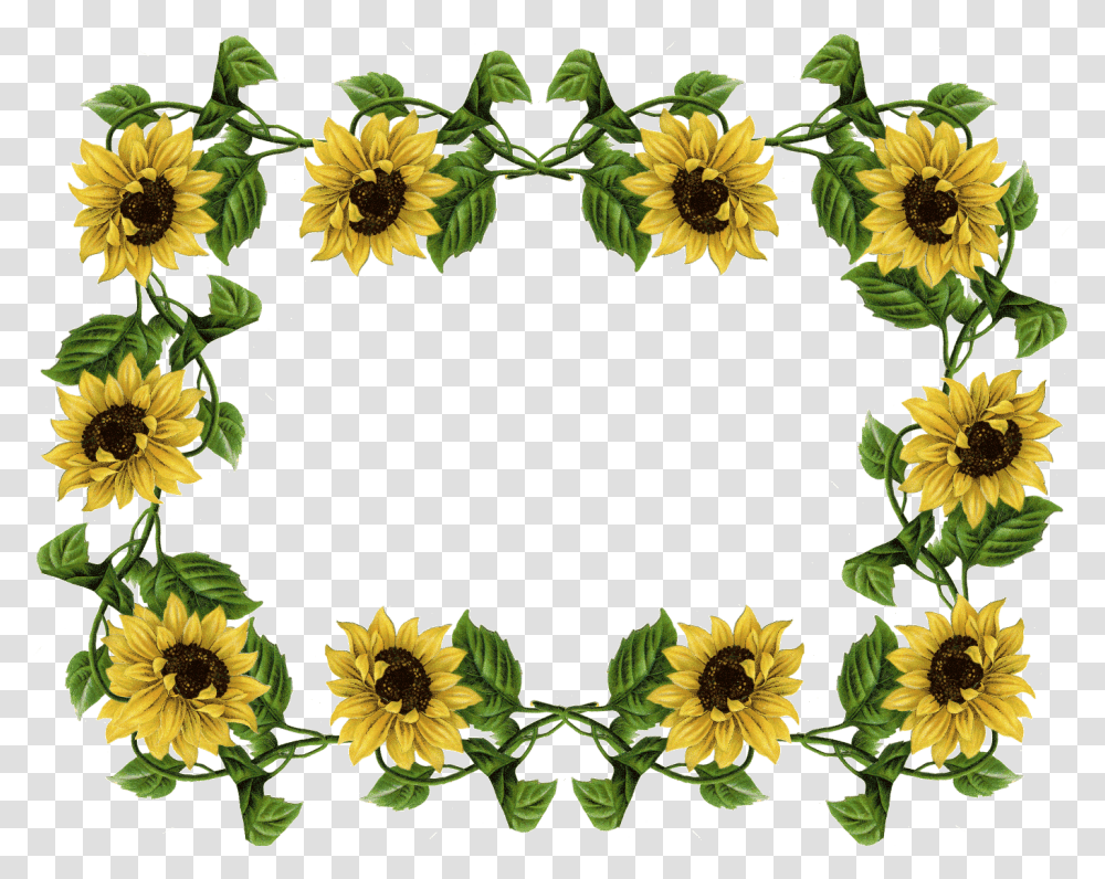 Sunflowers Translucent & Clipart Free Sunflower Frame, Plant, Blossom, Wreath Transparent Png