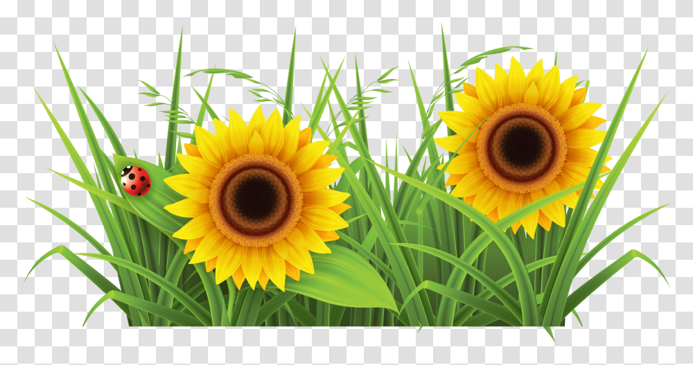 Sunflowr With Grass Background Grass Clipart, Plant, Sunflower, Blossom, Bird Transparent Png
