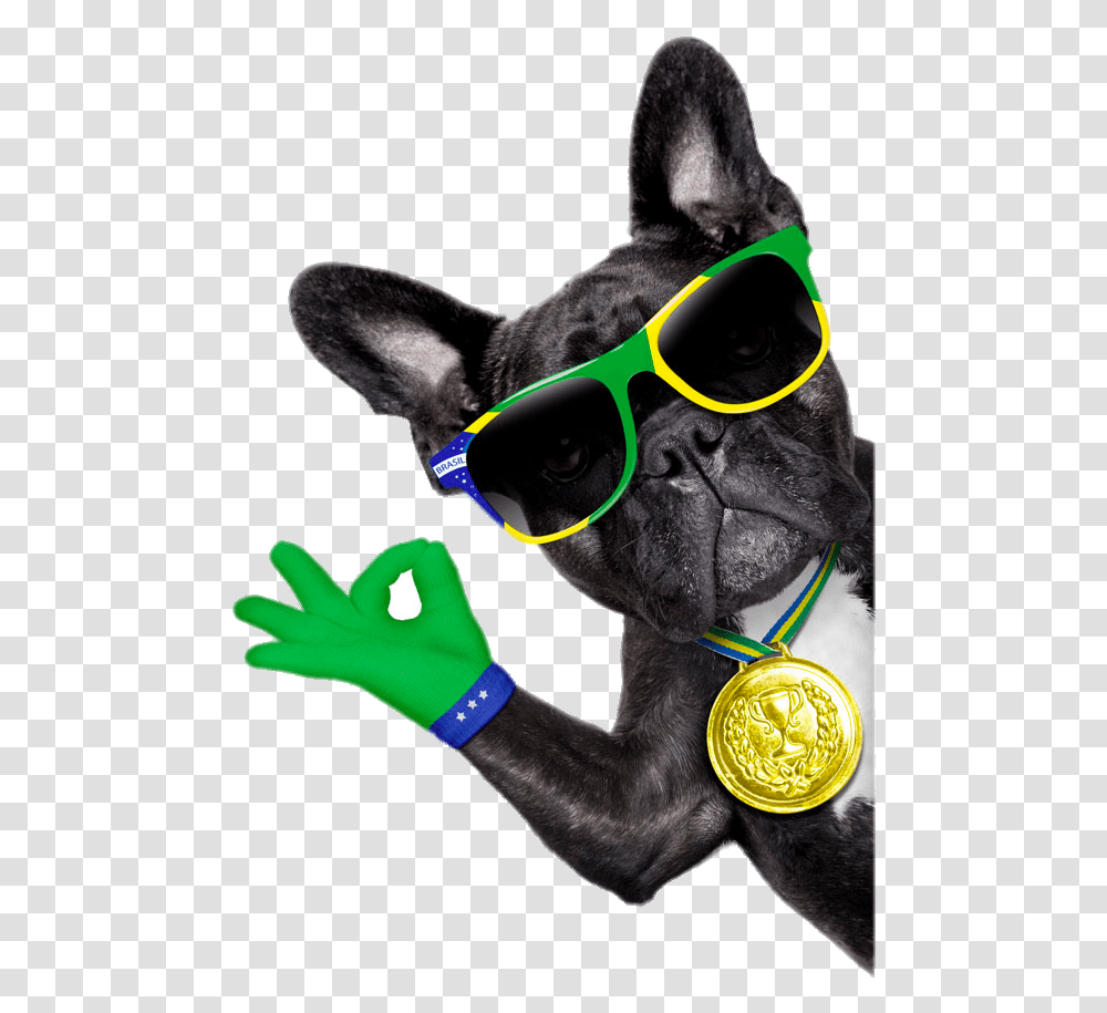 Sunglasses Bulldog Photography Dog French Royalty Free Brazil Soccer Dog, Pet, Canine, Animal, Mammal Transparent Png