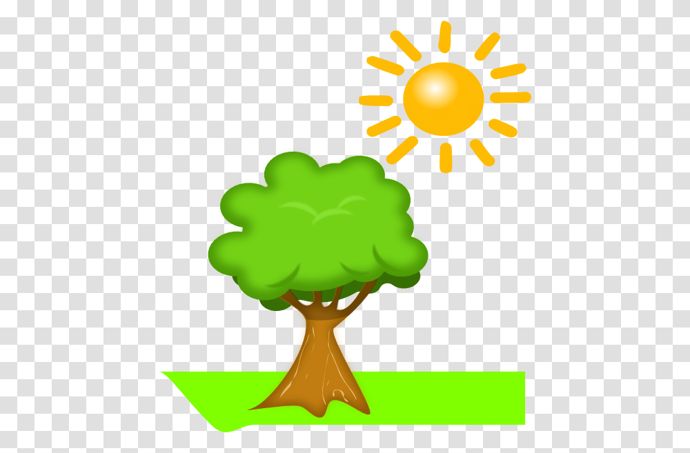 Sunlight Clipart Air, Plant, Hand, Vegetable, Food Transparent Png